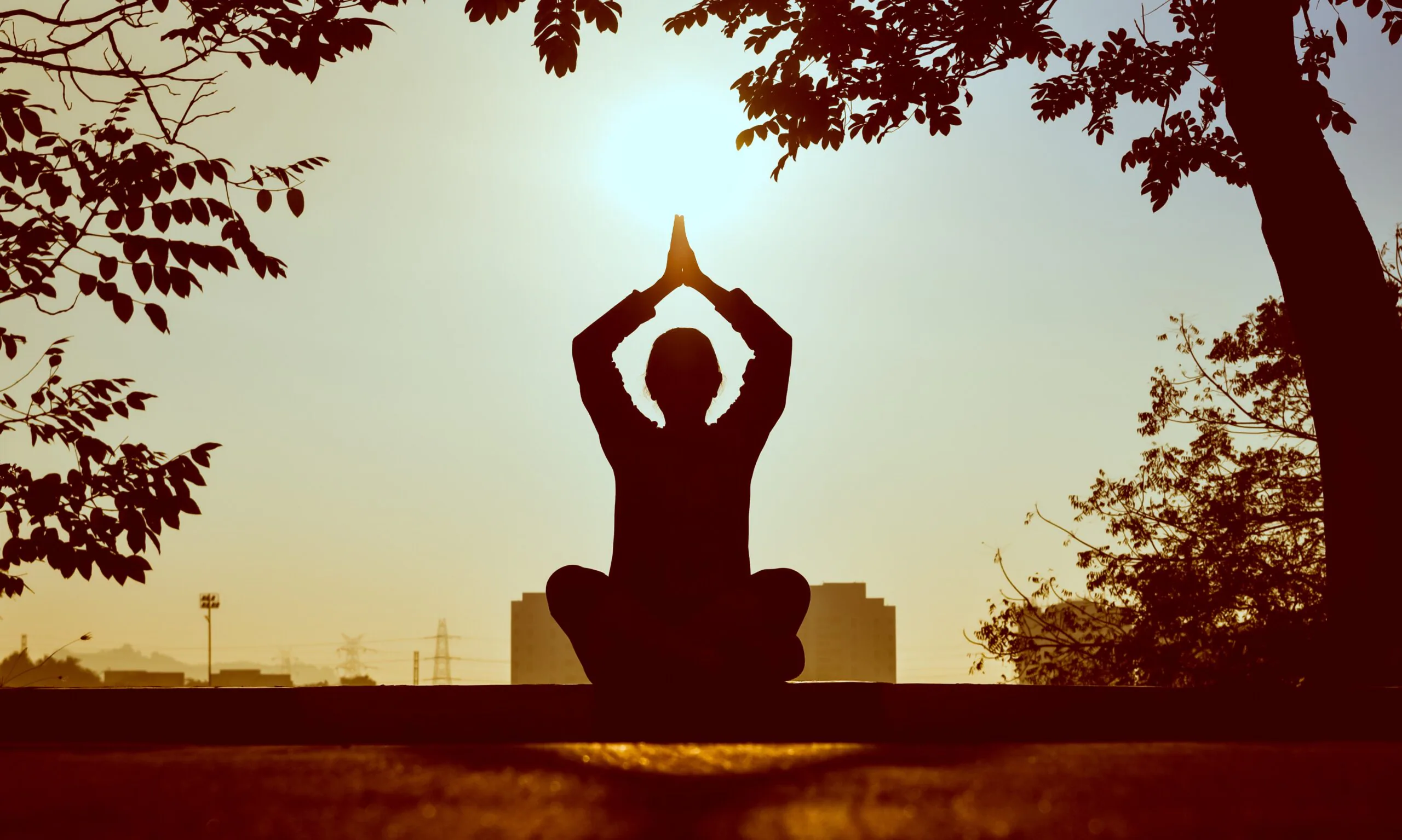 Why Do Yoga Enthusiasts Love Taking CBG?
