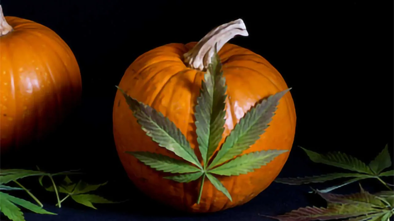 5 KANHA Gummies to Elevate your Halloween Hijinks
