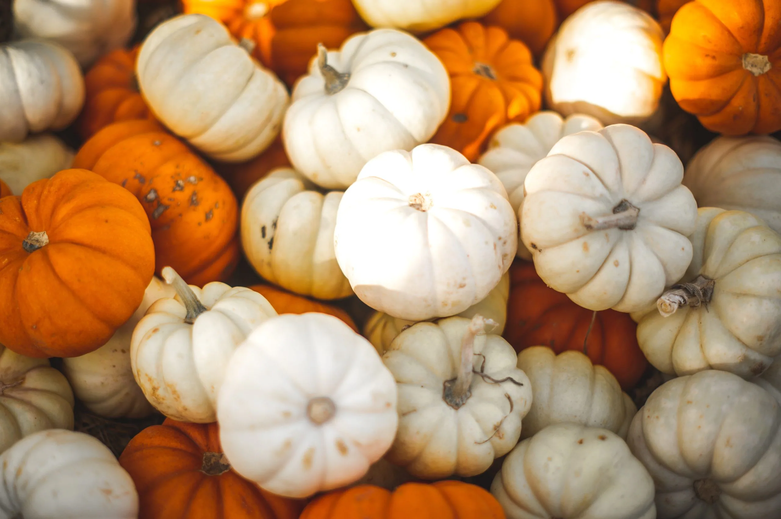 KANHA Halloween Updates