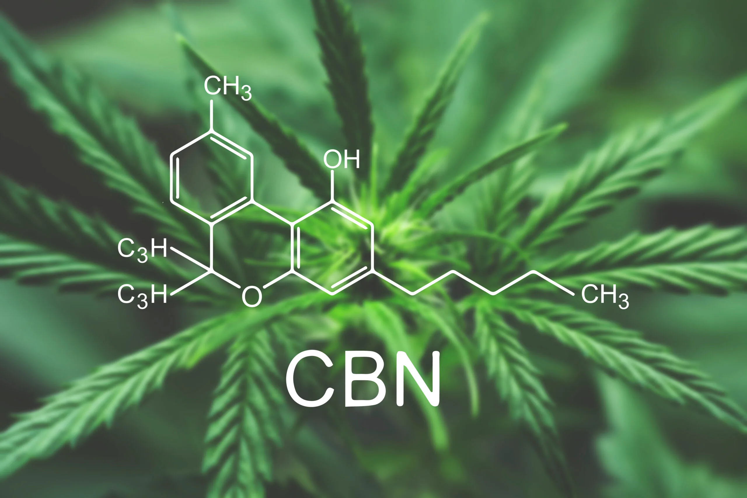 Introducing CBN to Our Family of Cannabis Products
