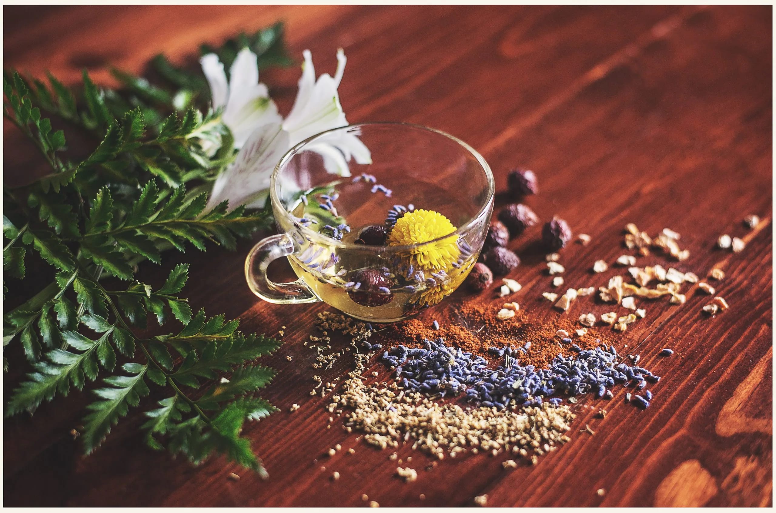 Terpenes That Will Help You Sleep