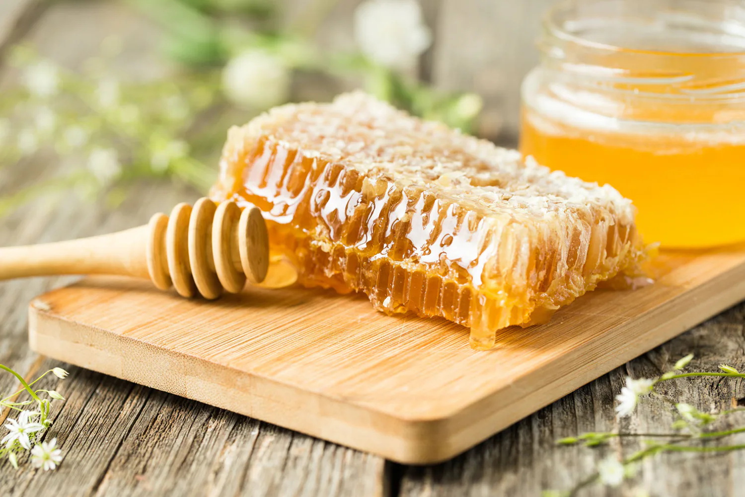Beyond THC: The Coactives Behind Every Bite