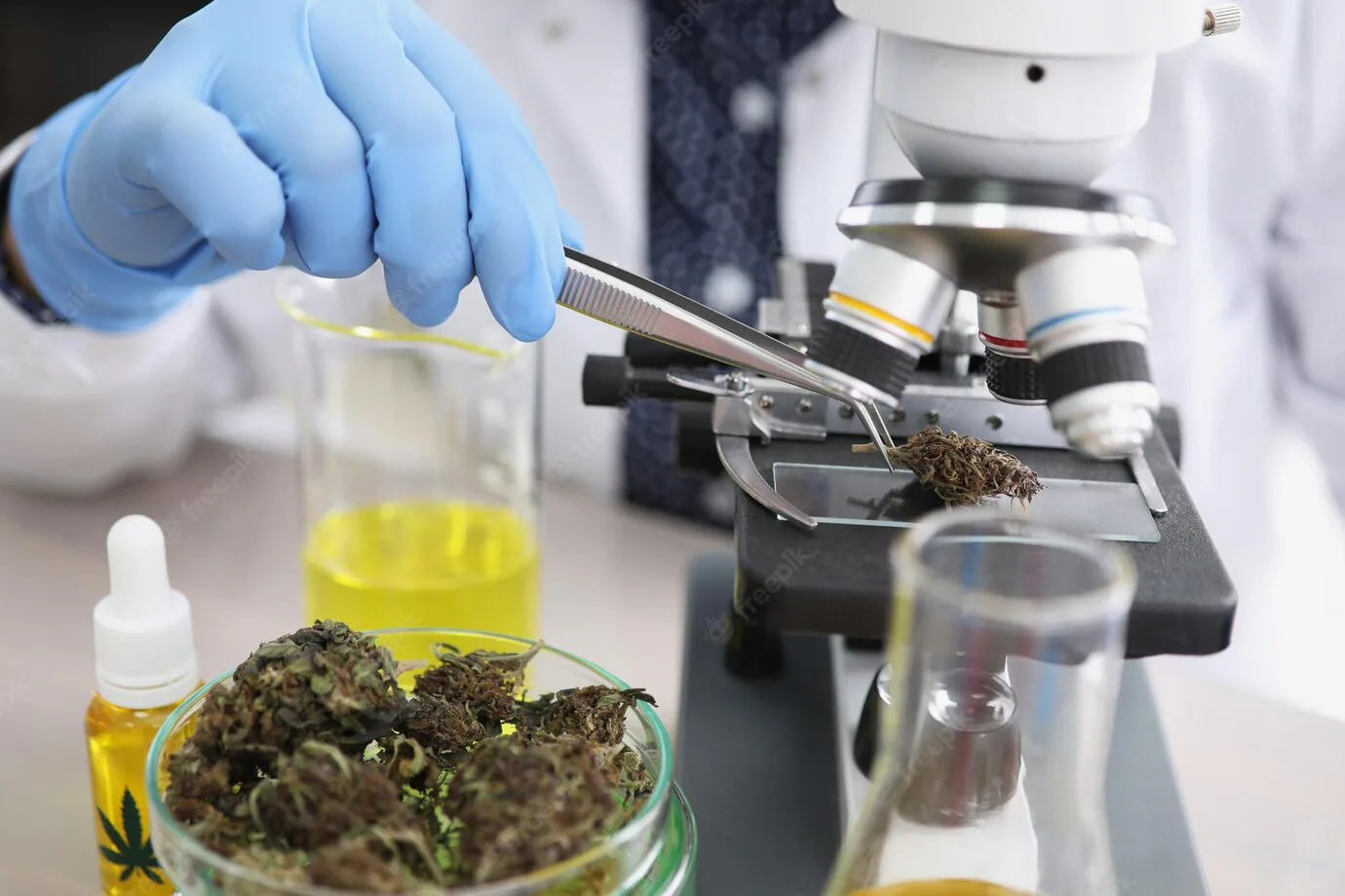 Why Testing Matters