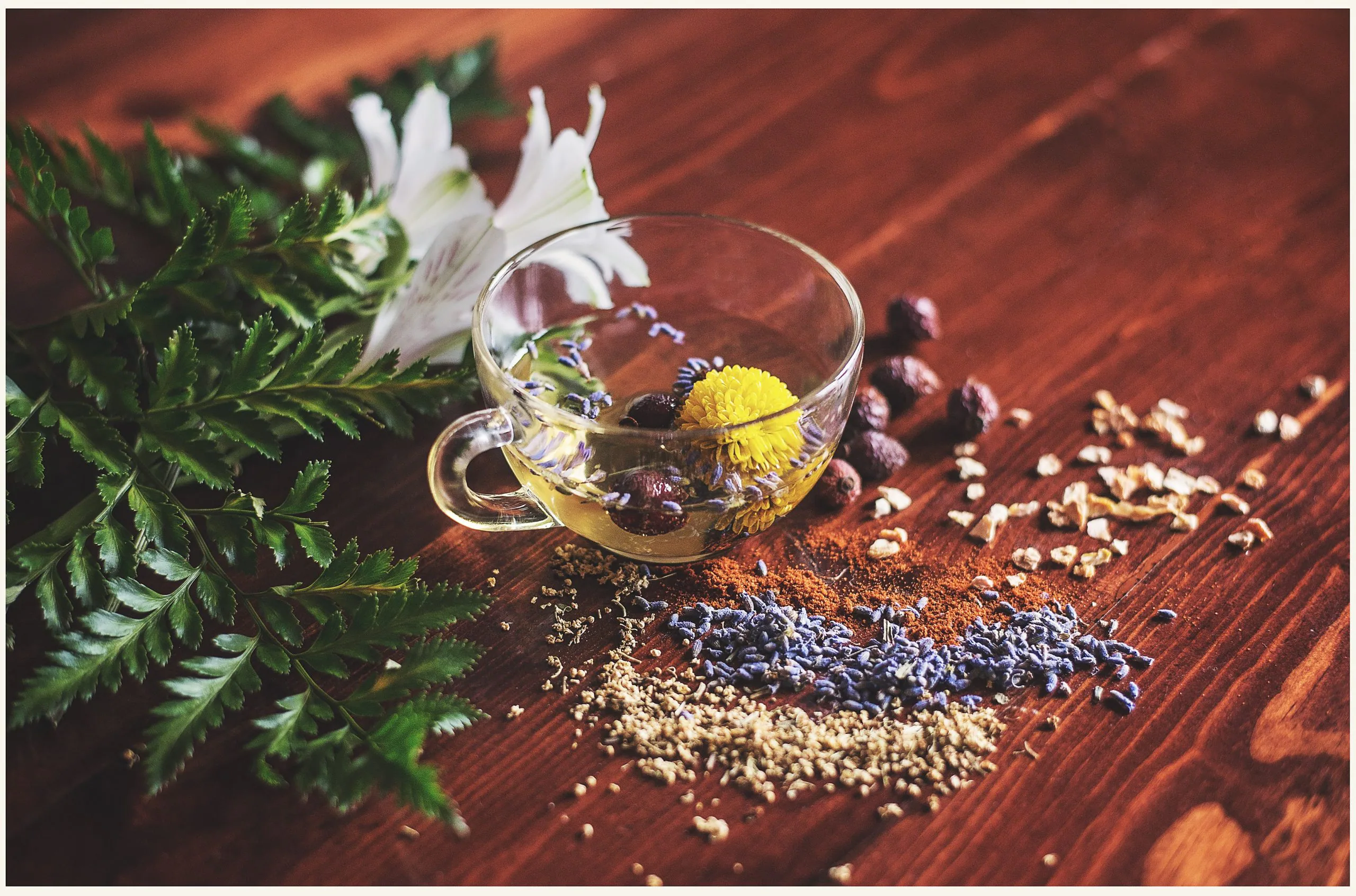 Terpenes That Will Help You Sleep
