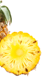 abcf